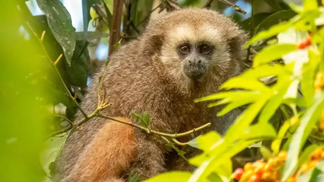 Captura-de-Pantalla-2025-04-15-a-las-14.51.28-1536x933 (1)