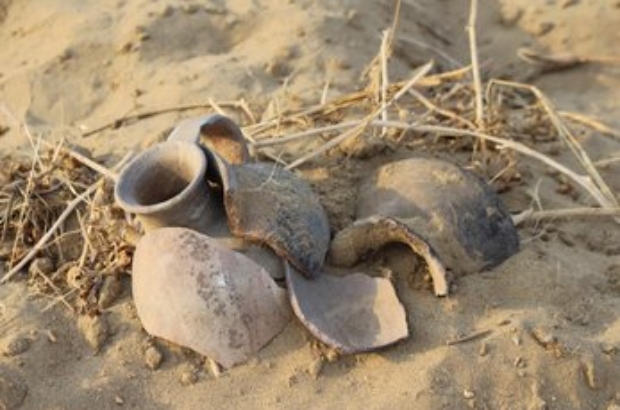 WhatsApp Image 2025-04-16 at 10.18.14 AM (1)