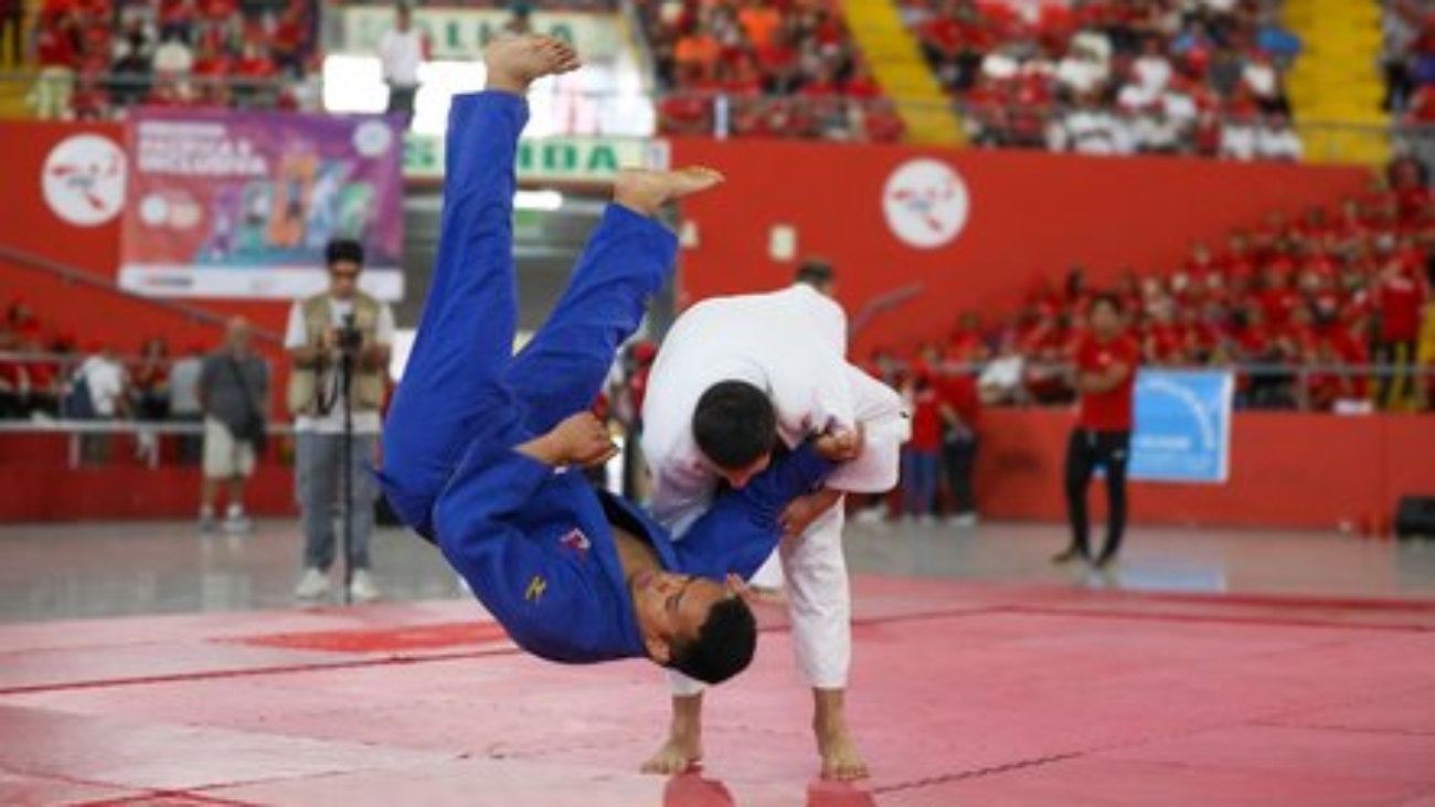 exhibición de judo (1)