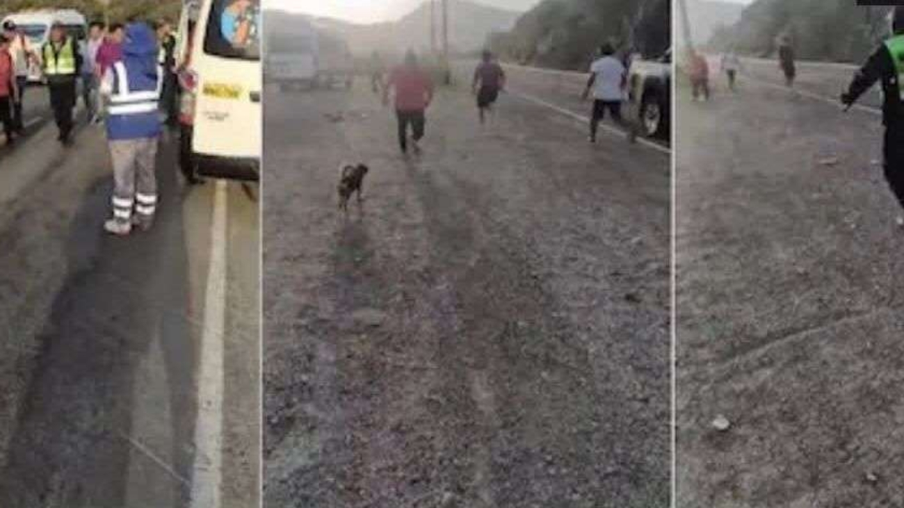 495150691_1320422746322597_5057091169559231057_n (1)