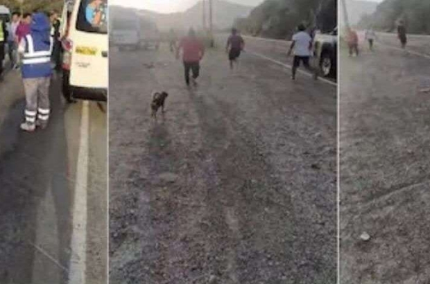 495150691_1320422746322597_5057091169559231057_n (1)