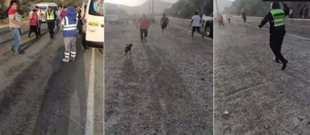 495150691_1320422746322597_5057091169559231057_n (1)