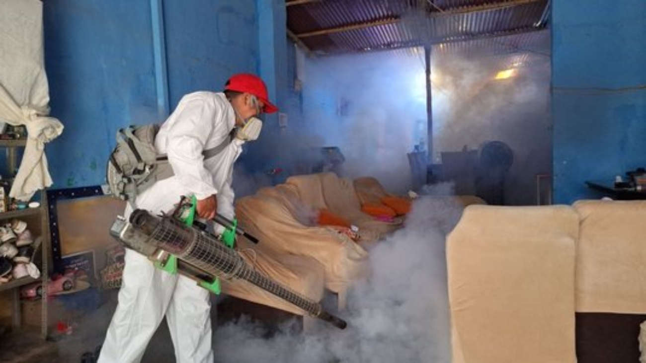 WhatsApp Image 2025-04-30 at 11.26.51 AM (1)