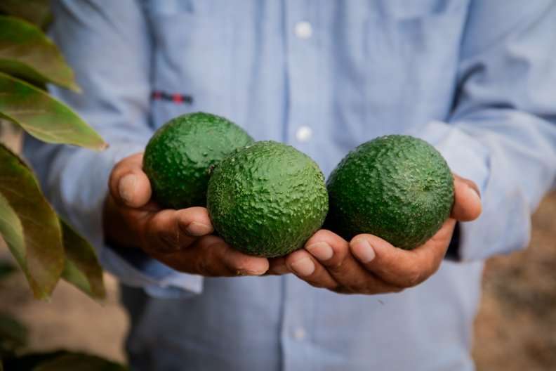 WhatsApp Image 2025-05-13 at 3.51.19 PM (2) (1)