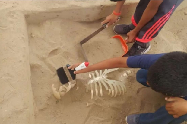 WhatsApp Image 2025-05-16 at 1.49.46 PM (1) (1)