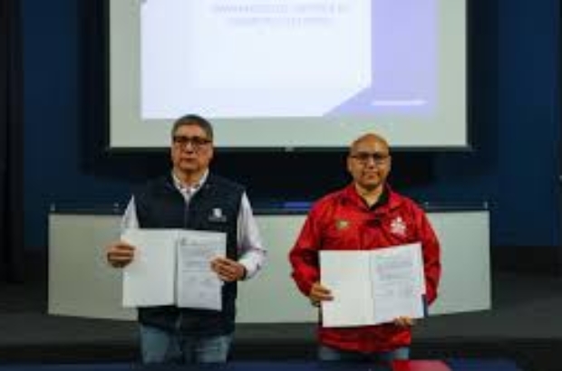 descarga (1) (1)
