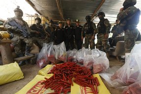 501208865_701389199312395_2470067490028634671_n (1)