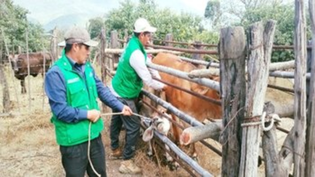 505476055_122198720900067368_40775304750120524_n (1)