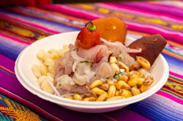 514881975_1361863801572456_826357763937681819_n (1)