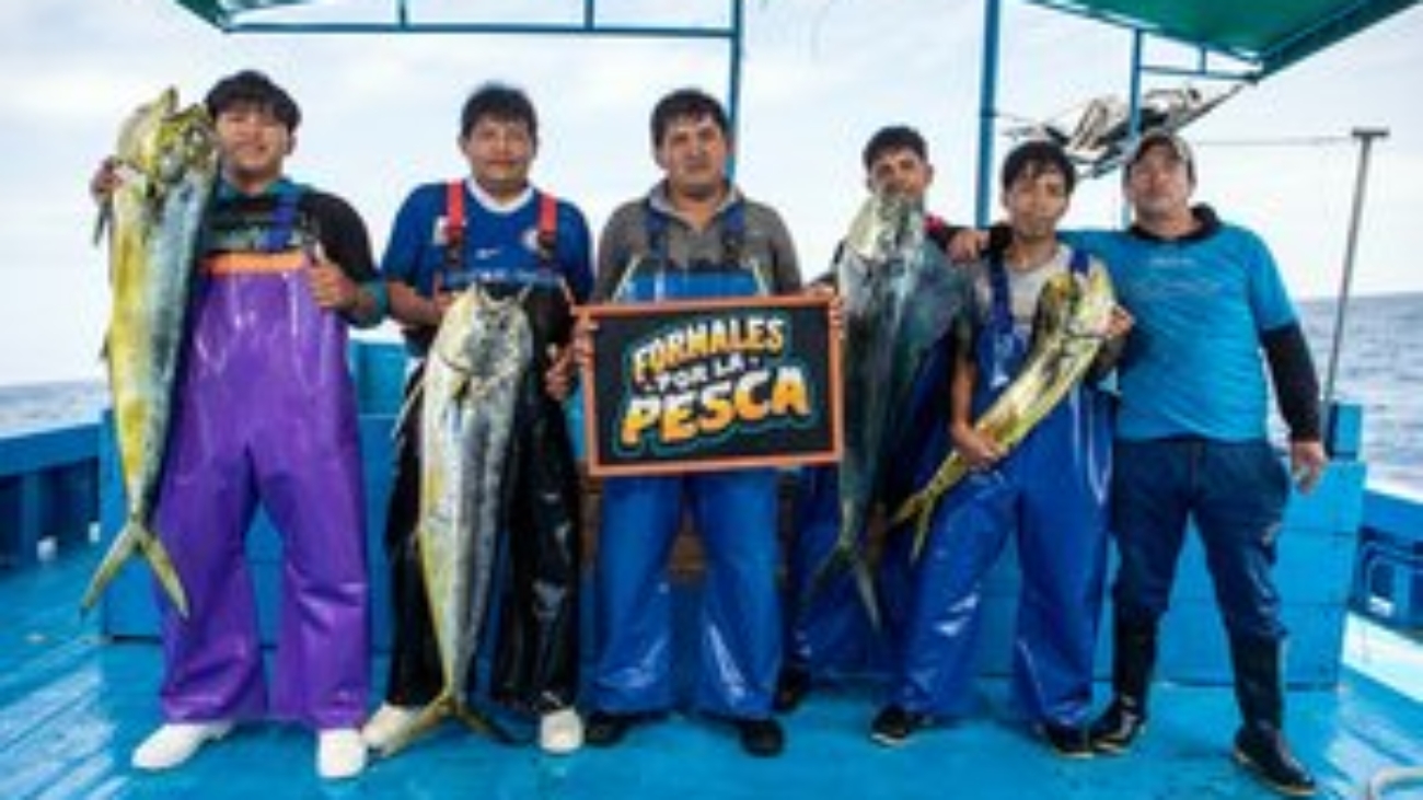 WhatsApp Image 2025-06-17 at 9.01.21 AM (1)