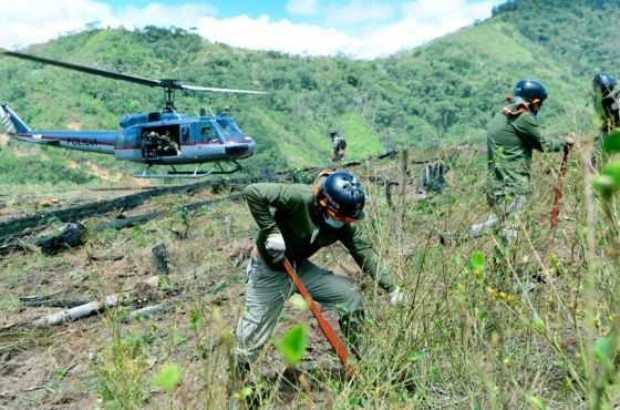 hectareas (1)