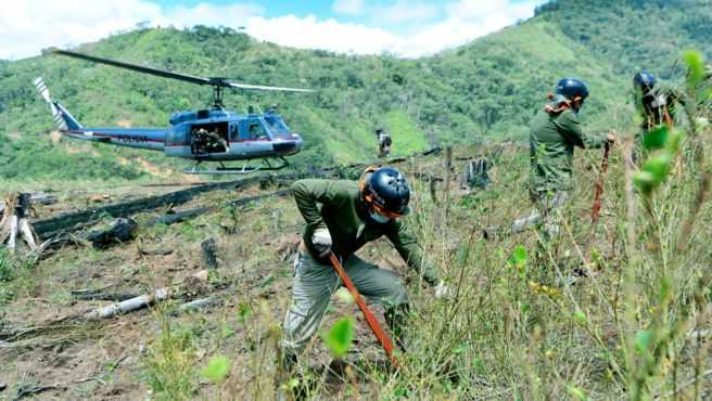 hectareas (1)