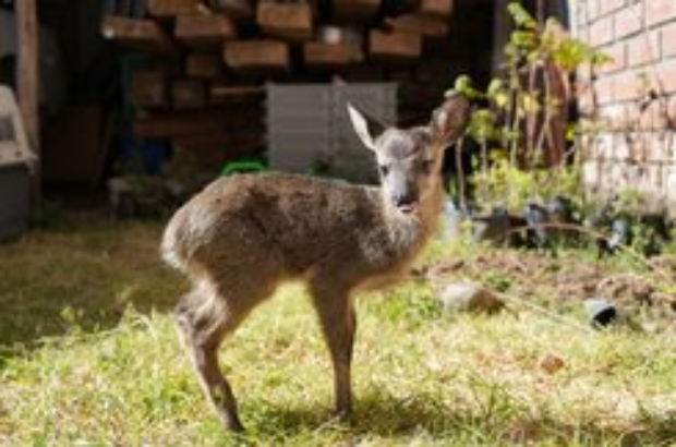 520640558_1244799807560605_7832453521907745259_n (1)