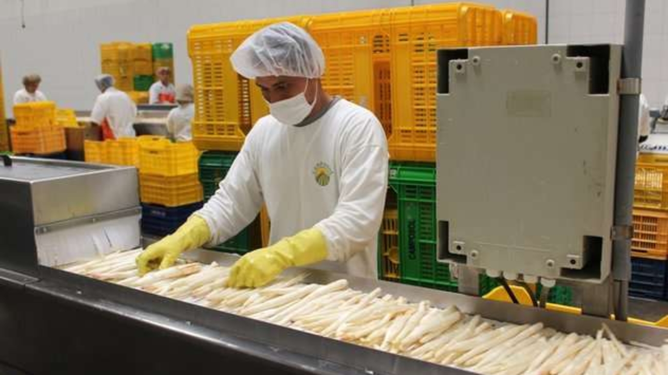 Espárragos prensa adex (2) (1)