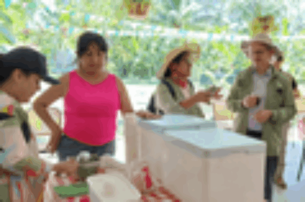 helados (1)