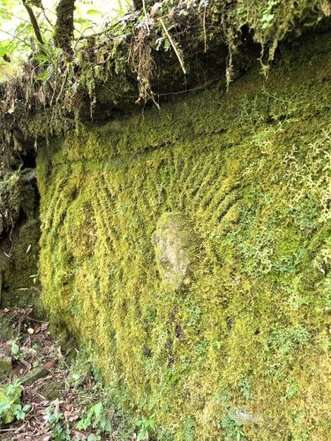 pajaten (1)
