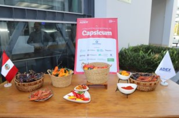 prensa-encuentro-empresarial-capsicum-2025-adex-arequipa (17) (1)