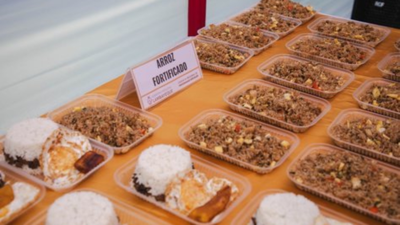 553236907_791585056959475_517948186953849951_n (1)