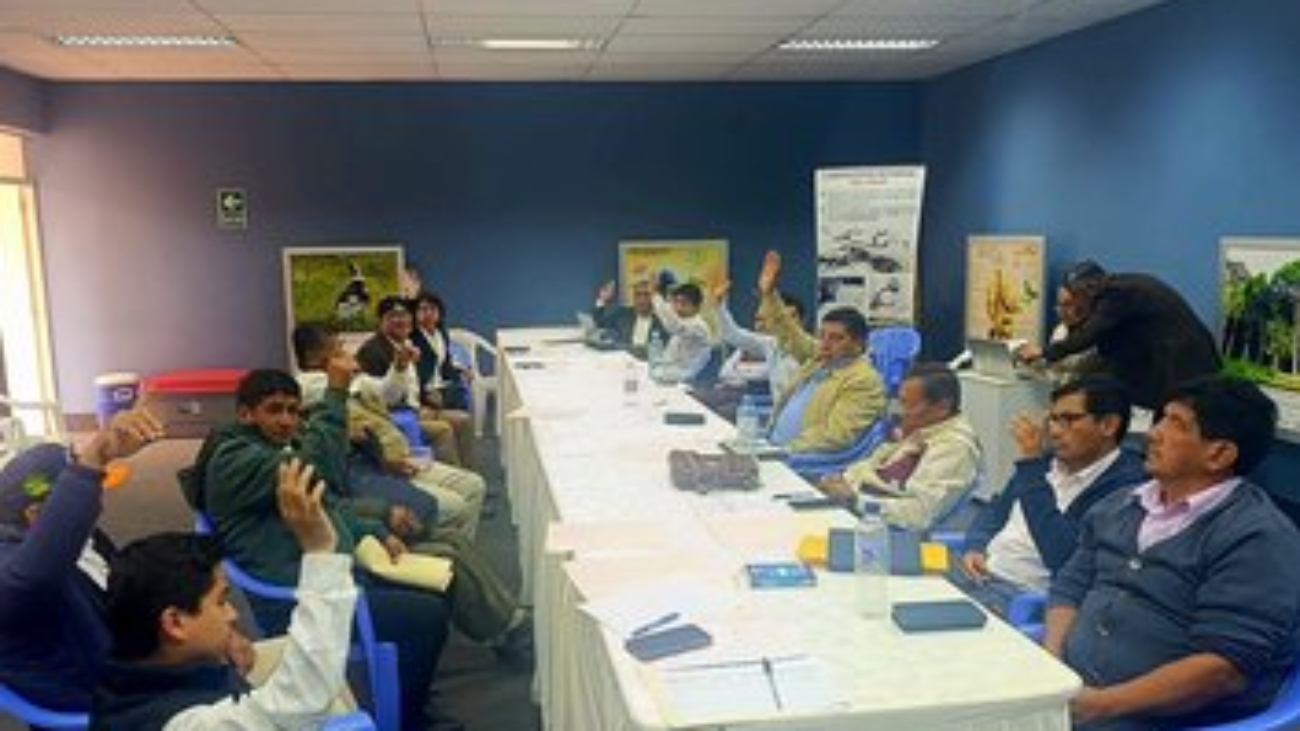 WhatsApp Image 2025-10-13 at 1.01.06 PM (1)