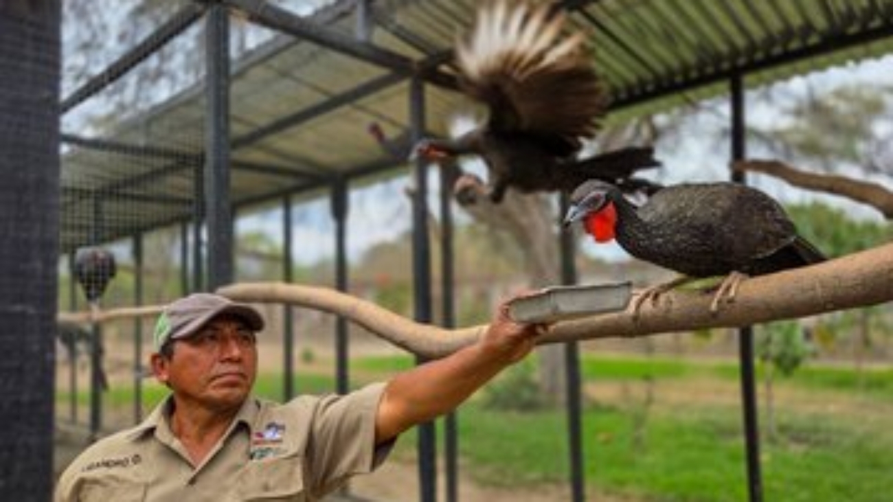 WhatsApp Image 2025-10-13 at 11.57.14 AM (1)