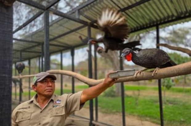 WhatsApp Image 2025-10-13 at 11.57.14 AM (1)