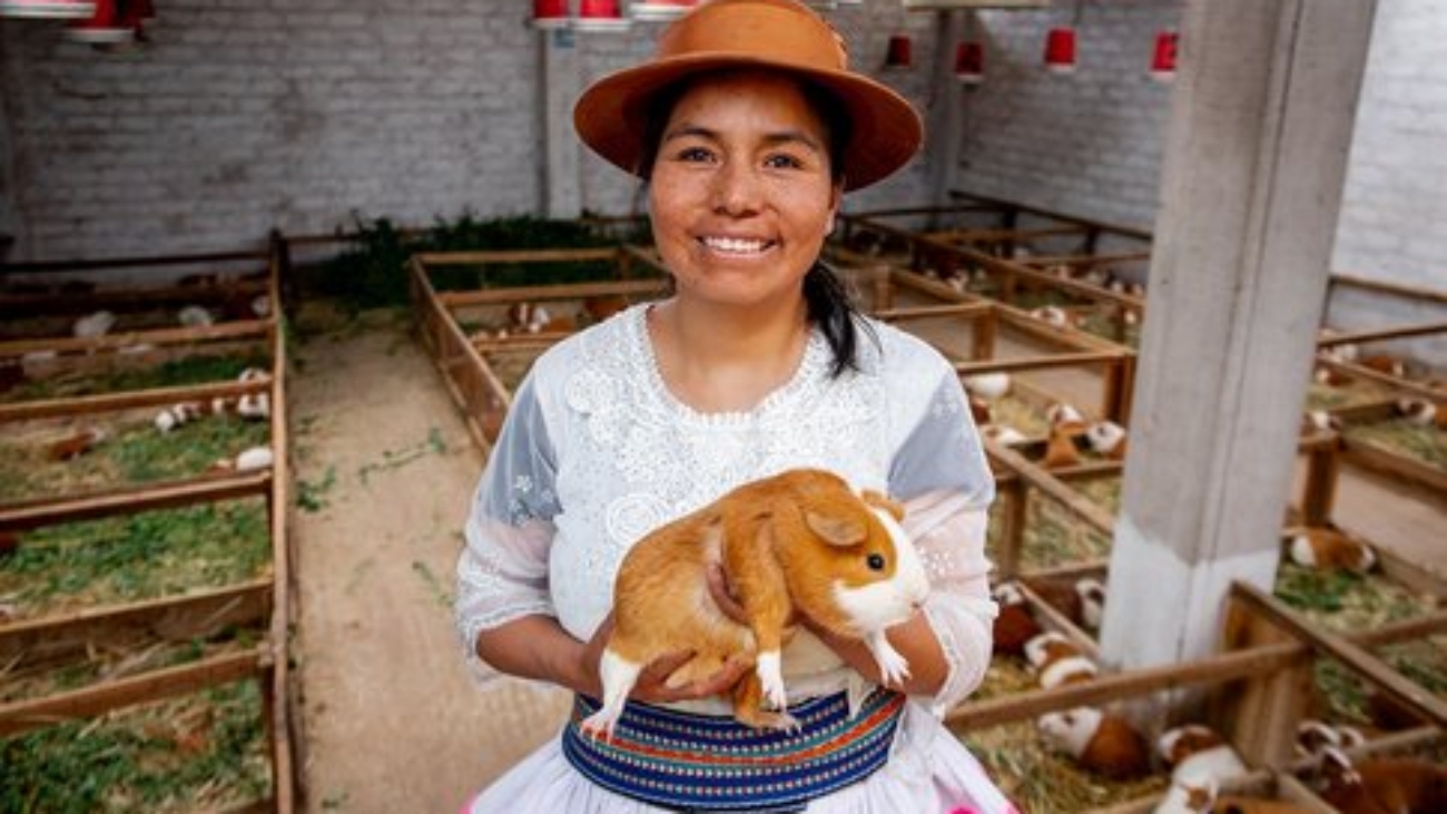 WhatsApp Image 2025-10-13 at 3.49.36 PM (1)