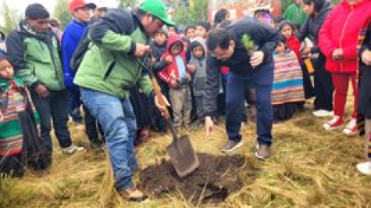 reforestacion (1)