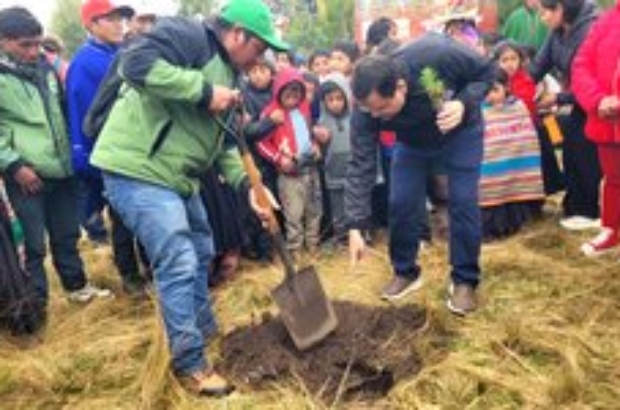 reforestacion (1)