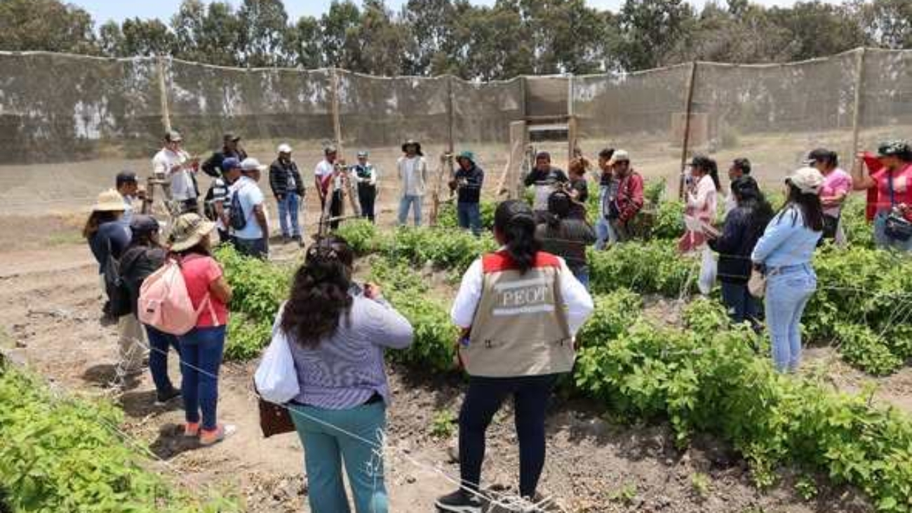 577780174_831694792948501_9122616727145142525_n (1)