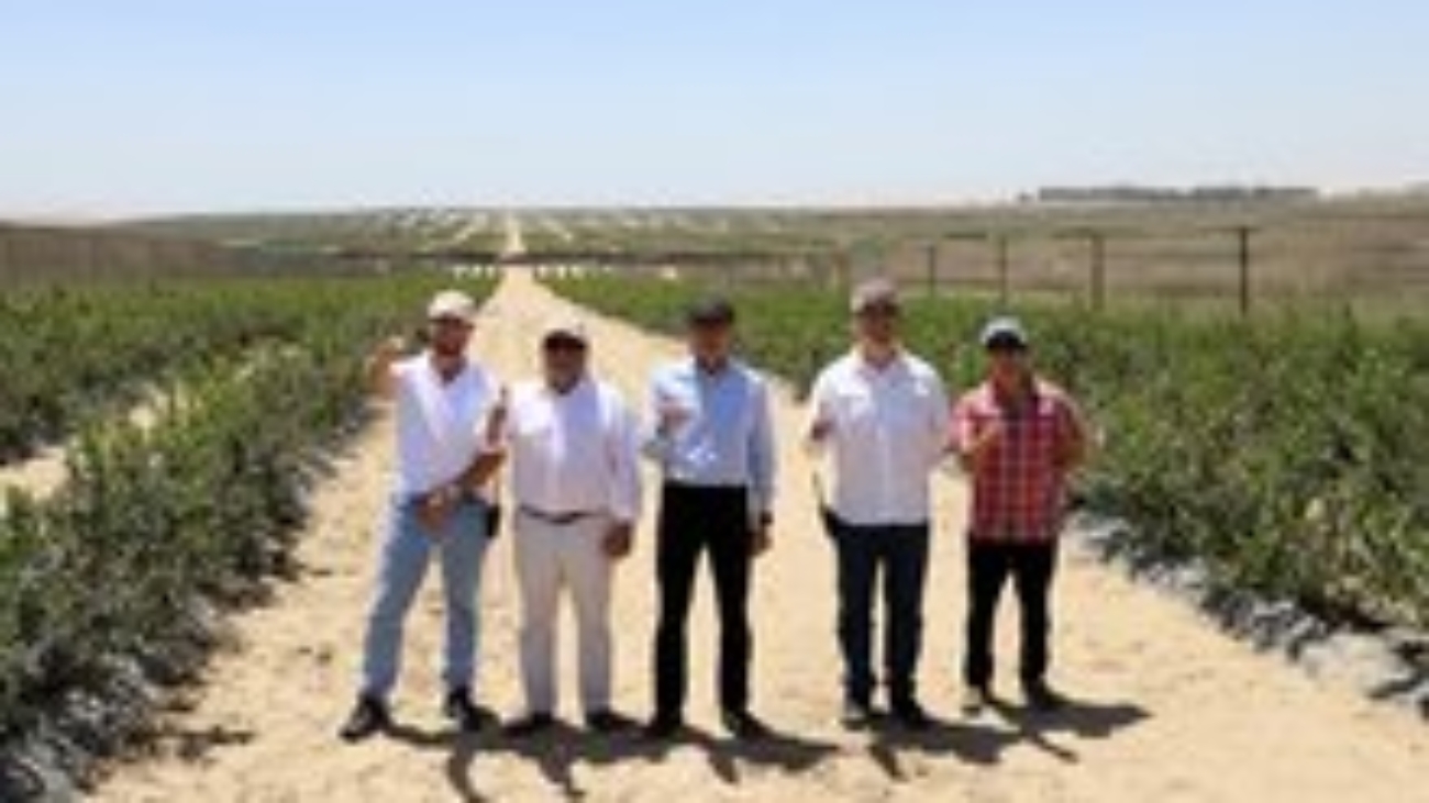 ADEX-arándanos-visita Fundo Family Farms-Embajador Japón-Tsuyoshi Yamamoto (1)