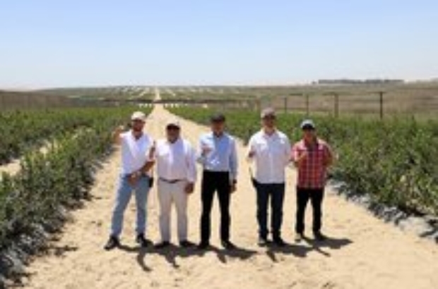 ADEX-arándanos-visita Fundo Family Farms-Embajador Japón-Tsuyoshi Yamamoto (1)