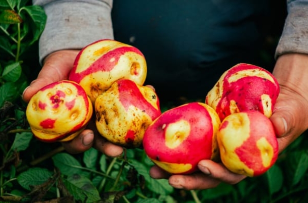 WhatsApp Image 2025-11-07 at 11.15.46 AM (2)