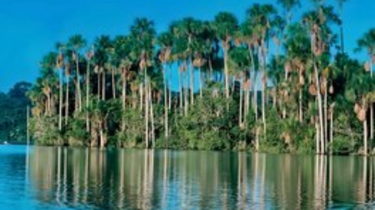 WhatsApp Image 2025-11-10 at 6.41.26 PM (1)