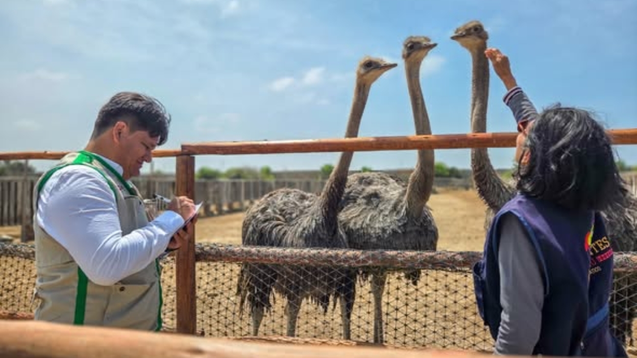 597389424_1426558352810528_2241854329646824604_n