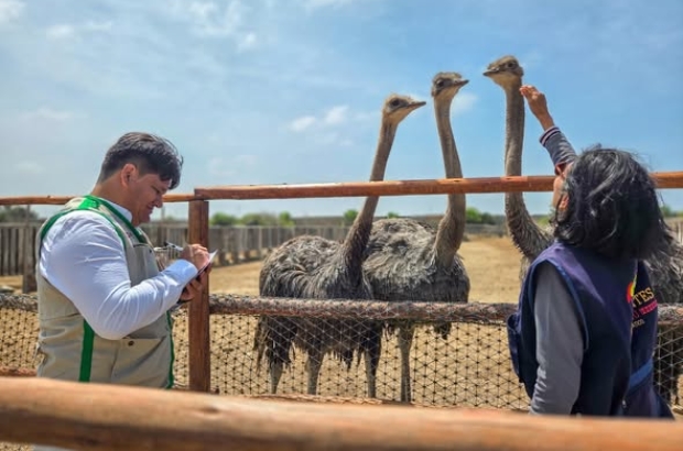 597389424_1426558352810528_2241854329646824604_n