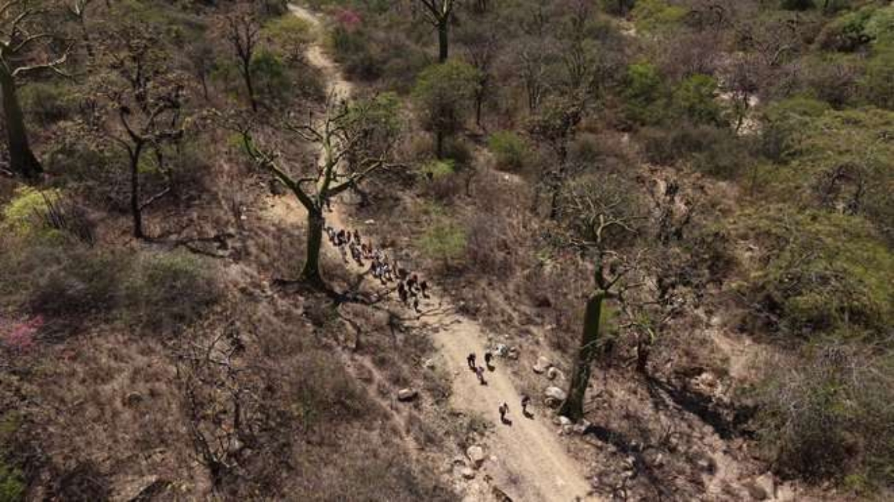 WhatsApp Image 2025-12-11 at 11.11.58 AM (1)