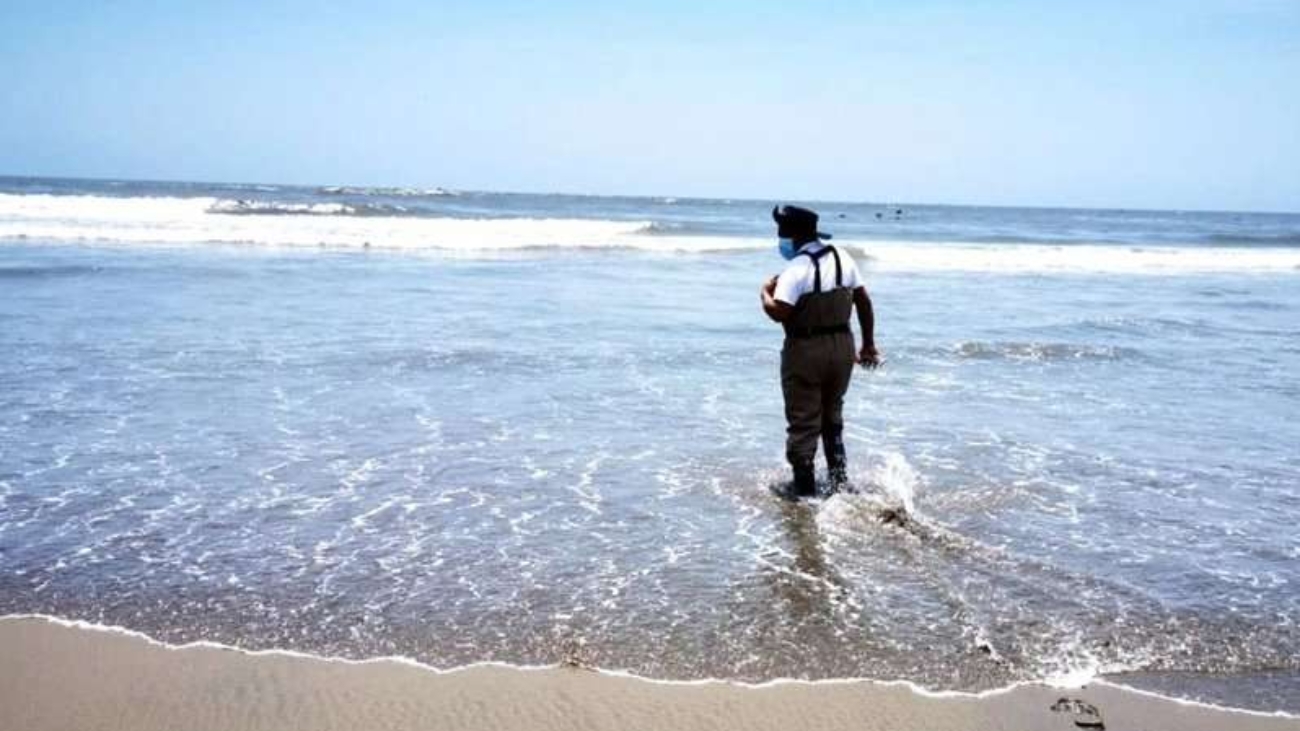 WhatsApp Image 2025-12-30 at 1.02.31 PM (1)