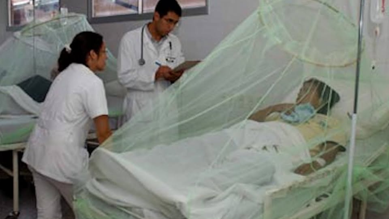 WhatsApp Image 2026-01-09 at 7.47.52 PM