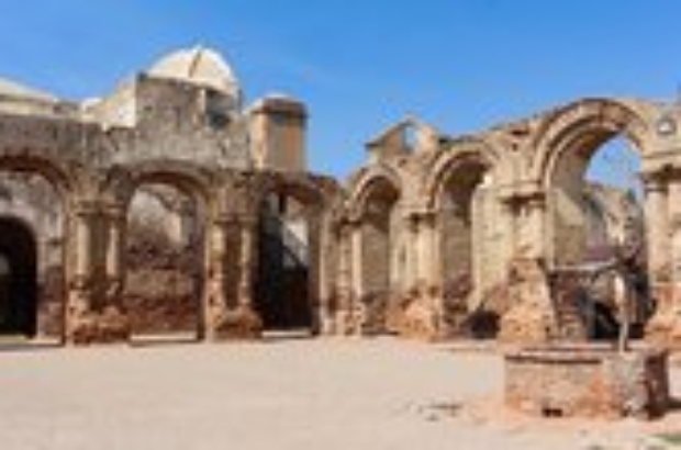 WhatsApp Image 2026-01-15 at 5.08.18 PM (1)