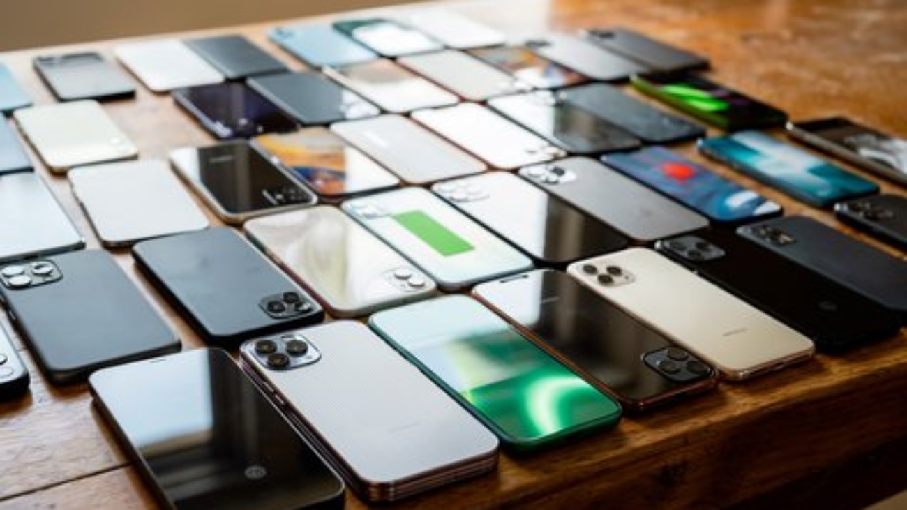 WhatsApp Image 2026-01-15 at 6.30.52 PM (1) (1)