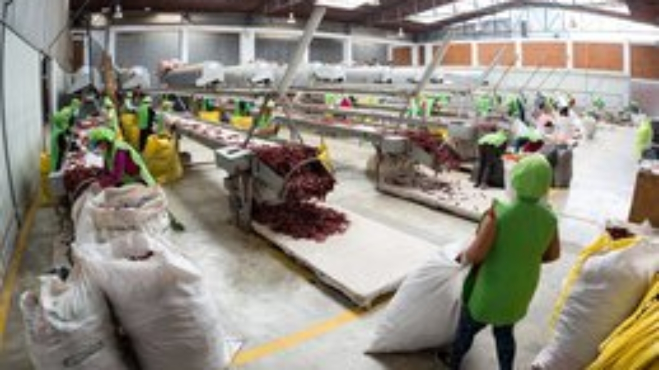 adex agroexportaciones (1)