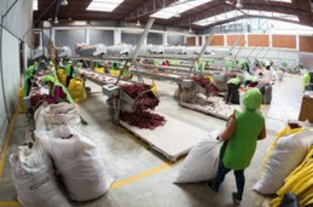 adex agroexportaciones (1)