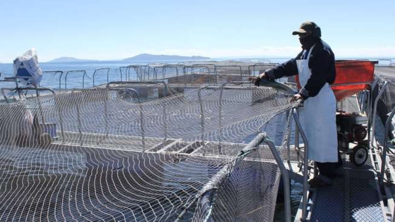 Acuicultura ADEX prensa (1)