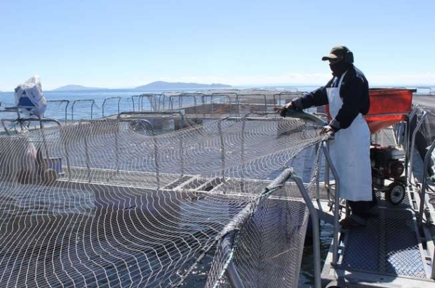 Acuicultura ADEX prensa (1)