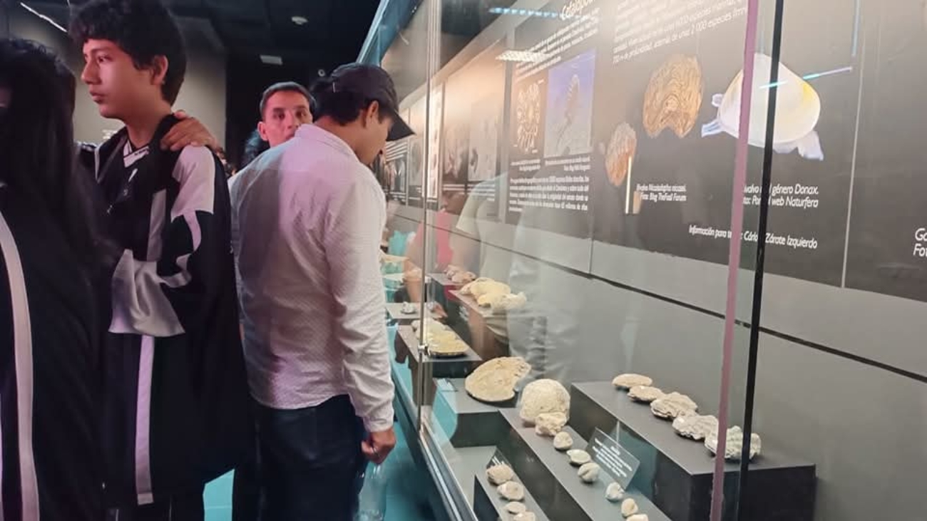 WhatsApp Image 2026-01-30 at 4.01.45 PM