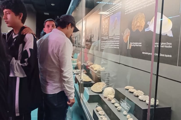 WhatsApp Image 2026-01-30 at 4.01.45 PM