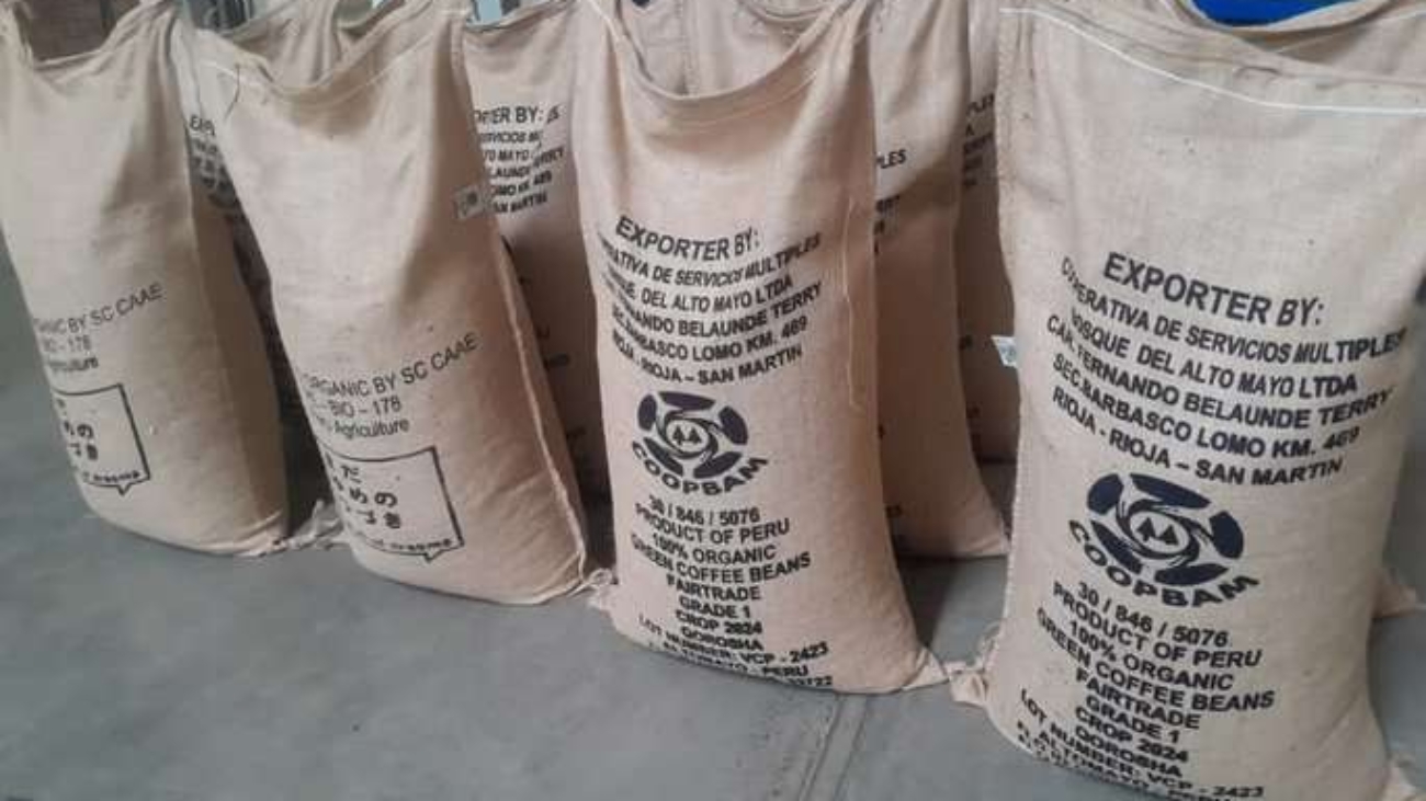 WhatsApp Image 2026-02-06 at 2.48.53 PM (1) (1)