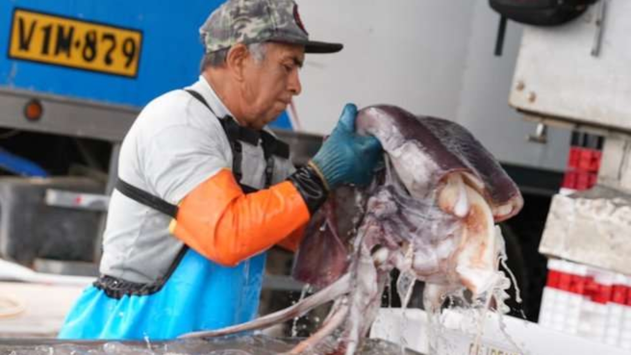 WhatsApp Image 2026-02-13 at 10.35.37 AM (1)