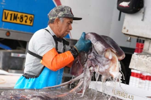 WhatsApp Image 2026-02-13 at 10.35.37 AM (1)