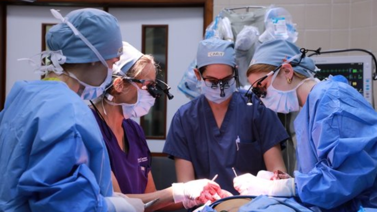 WhatsApp Image 2026-02-18 at 6.30.08 PM (1)